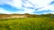 Sage Creek Grassland Badlands National Park