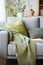 sage green blanket and pillows on a sofa with a book, a cozy reading nook