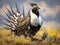 and Sage Grouse