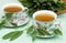 Sage herbal tea in porcelain cups with herb leaves all around on linen textile