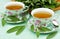 Sage herbal tea served in porcelain cups on mint fabric background with bunch of herbs