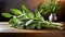 Sage leaf medicine herbal ingredient. Health aromatherapy herb