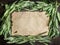 Sage leaves around old paper sheet on brown aged wooden background, horizontal, frame