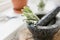 Sage in mortal with pestle kitchen