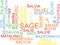 Sage multilanguage wordcloud background concept