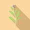 Sage salvia icon flat vector. Leaf herb