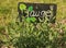 Sage in a vegetable garden with a small slate