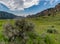 Sagebrush with Wyoming Mountains Behring