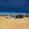 Sagging homestead ruins in the sun beneath storm clouds