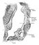 Sagittal Section Through Sinus of Kidney, vintage illustration