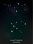 Sagittarius and Sygnus constellation
