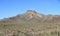 Saguaro Cacti Plain at the Foothills of Tillotson Peak