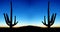 Saguaro Cacti Sunrise in Desert