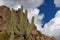 Saguaro Cactus Arms Reaching To The Sky