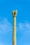 Saguaro cactus on blue and white sky background in bright sunlight in afternoon sun with visible spikes in afternoon sun