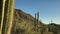 Saguaro cactus, close-up to wide panorama