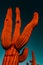 Saguaro Cactus in desert glows red and orange as sunsets