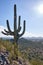 Saguaro cactus and distant Phoenix suburbs. Cave Creek Regional Park