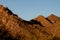 Saguaro Cactus Dot Brown Mountainside