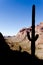 Saguaro Cactus and hiker silhouettes in Ajo Range