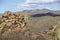 Saguaro cactus landscapes with desert and mountains