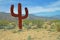 Saguaro Cactus - Metal Sculpture