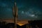 Saguaro Cactus and Milky Way