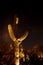 Saguaro cactus at night