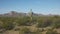 Saguaro cactus and puerto blanco mnts near ajo, az