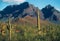 Saguaro cactus, and rocky cliffs and ridges,