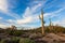 Saguaro Cactus and Sonoran Desert landscape in Arizona