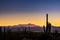 Saguaro Cactus Stand Tall with Mountains Turning Shades Of Purple