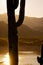 Saguaro Cactus Sunrise