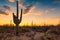 Saguaro Cactus at Sunset in Sonoran Desert