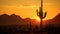 Saguaro cactus tree desert sunset landscape near phoenix Az