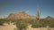 A saguaro cactus and twin peaks in organ pipe cactus national monument near ajo in arizona