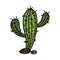 Saguaro cactus vector icon. Green desert plant with stones. Cute prickly succulent isolated on white. Hand drawn