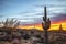 Saguaro cactus with vibrant sunset background