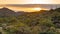 Saguaro Forest Sunrise