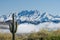 Saguaro and Four Peaks