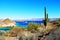 Saguaro in Loreto bays in the sea of baja california I