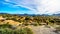 Saguaro and many other cacti and shrubs in the mountainous desert landscape near Lake Bartlett