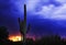 Saguaro National Park 1