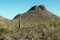 Saguaro National Park, desert landscape