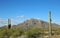 Saguaro and Newman Peak