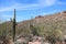 Saguaro, Ocotillo, Prickly Pear, Cholla Cacti and scrub brush growing on the top of a rocky mountainside in Saguaro National Park