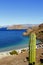 Saguaro and People camping in the Loreto bays in the sea of baja california, mexico XIII