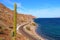 Saguaro and road in the bays of Loreto in baja california sur I