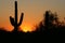 Saguaro sihlouette