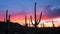 Saguaro Sunrise